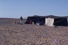 Jordanie tente bedouine